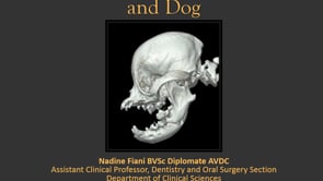 Maxillofacial Fractures in the Cat and Dog