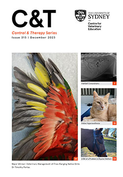 C&T Series Issue 313