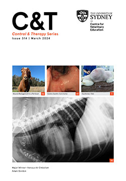 C&T Series Issue 314