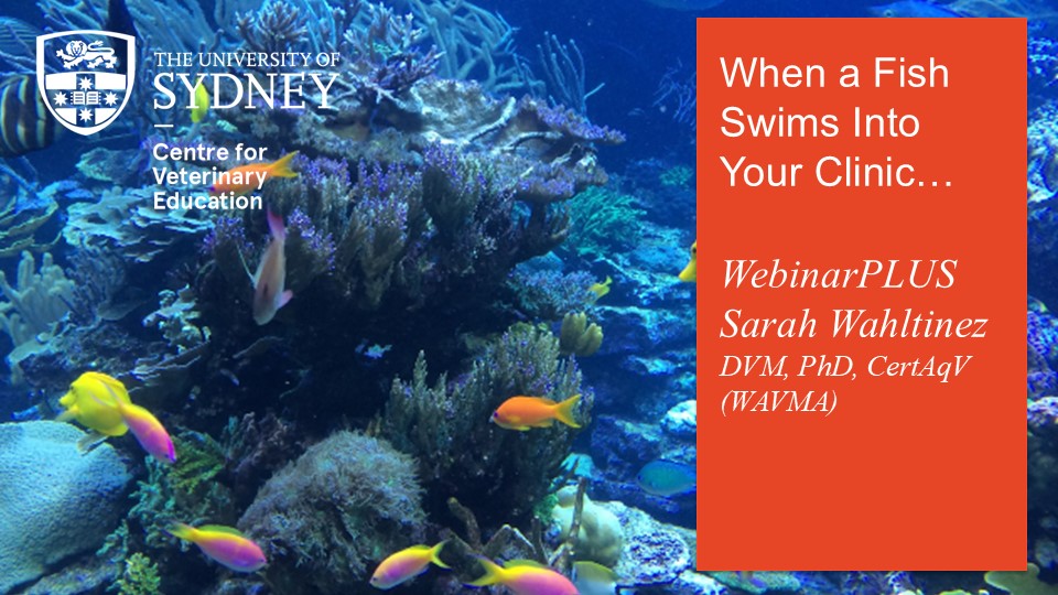When a Fish Swims Into Your Clinic…WebinarPLUS