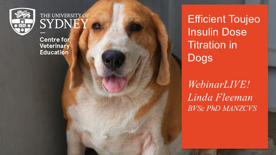 Efficient Toujeo Insulin Dose Titration in Dogs WebinarLIVE!