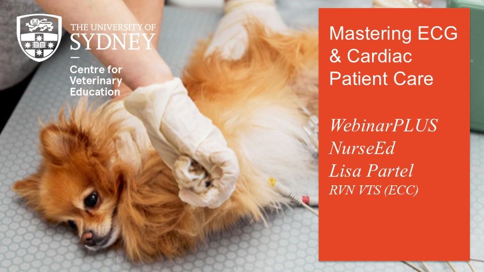 Mastering ECG & Cardiac Patient Care WebinarPLUS NurseEd