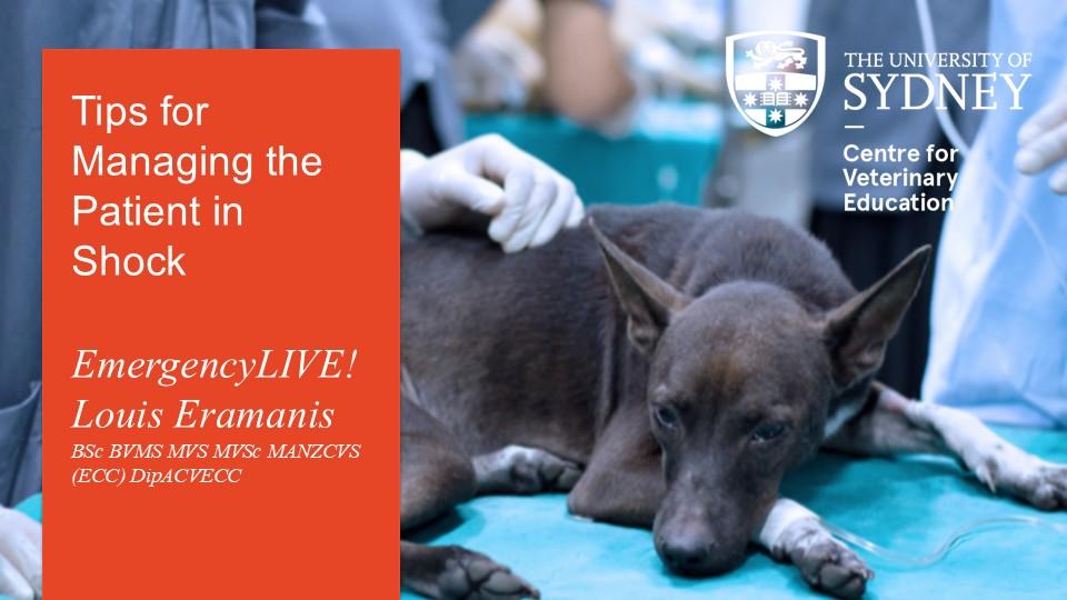 Tips for Managing the Patient in Shock EmergencyLIVE!