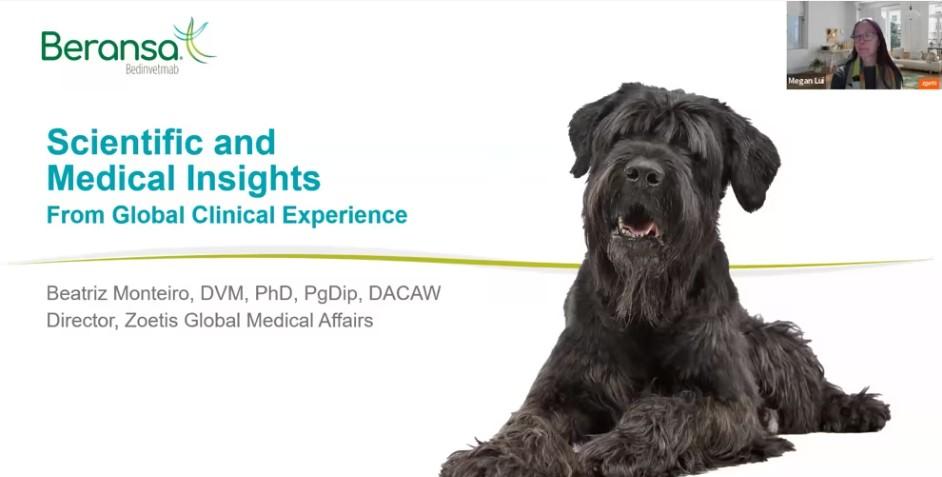 Zoetis - Beransa The Complete Story Webinar Series - Global Pharmacovigilance of Bedinvetmab