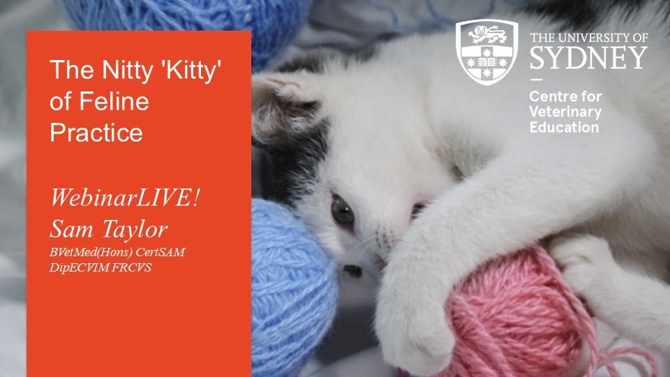 The Nitty 'Kitty' of Feline Practice WebinarLIVE!