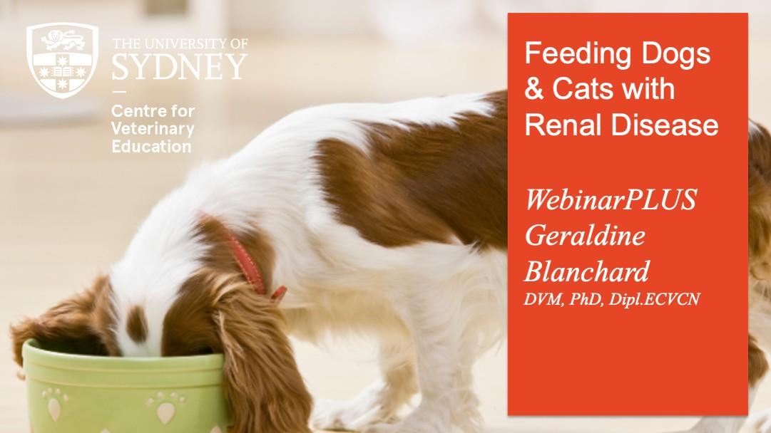 Feeding Dogs & Cats with Renal Disease WebinarPLUS