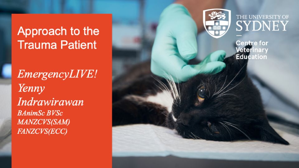 Approach to the Trauma Patient EmergencyLIVE!