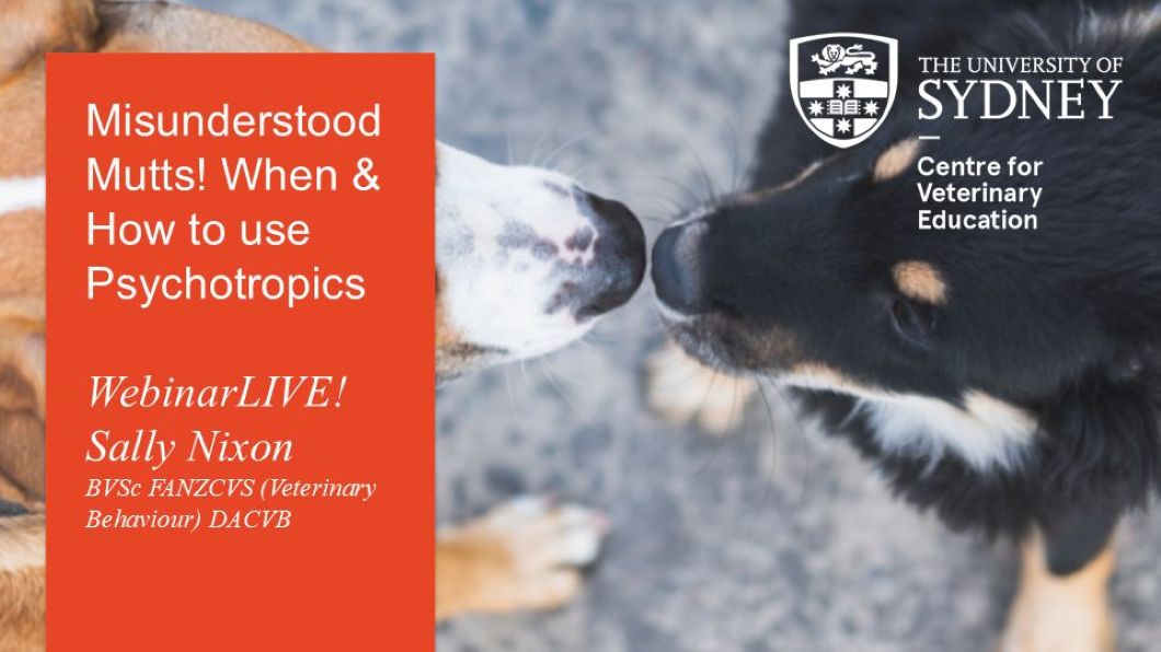 Misunderstood Mutts! When & How to Prescribe Psychotropics WebinarLIVE!