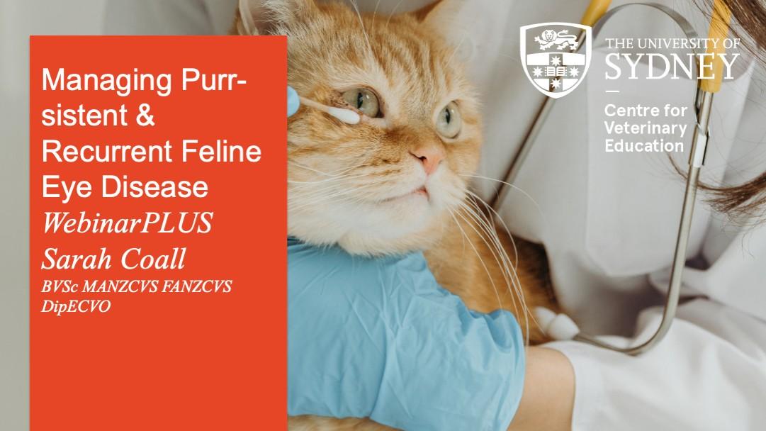 Managing Purr-sistent & Recurrent Feline Eye Disease WebinarPLUS