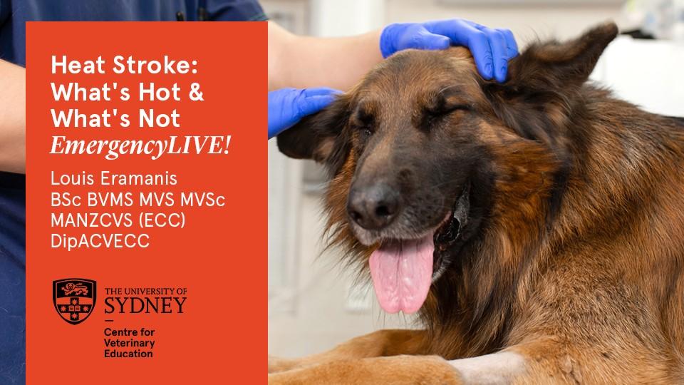 Heat Stroke: What's Hot & What's Not EmergencyLIVE!