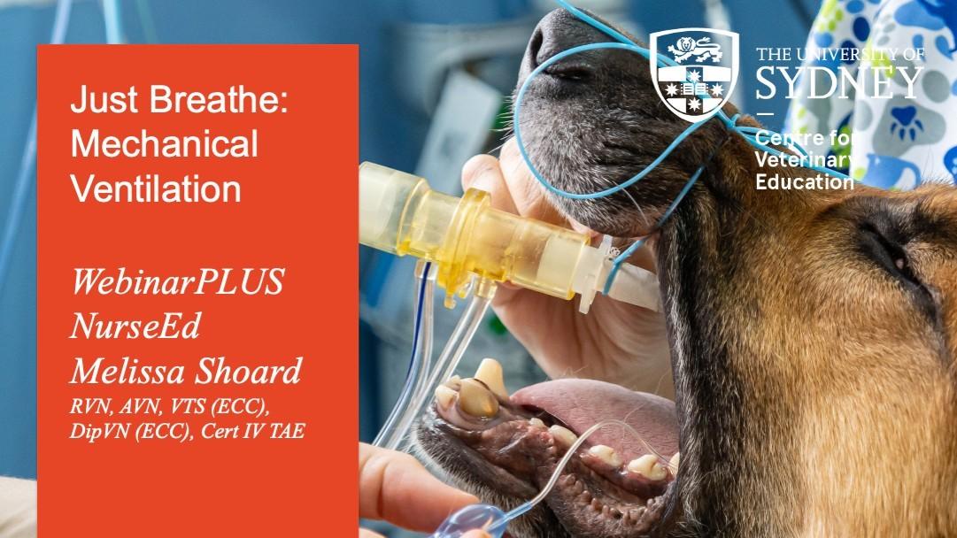 Just Breathe: Mechanical Ventilation WebinarPLUS NurseEd