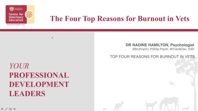 The Four Top Reasons for Burnout in Vets