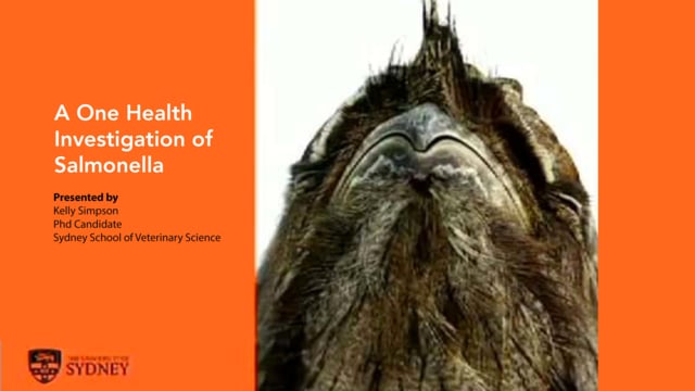 A One Health Investigation of Salmonella Wangata