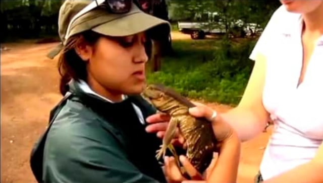 Eco Life: Vets in the Wild Expeditions