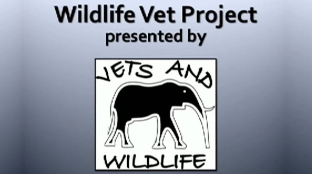 Vets and Wildlife