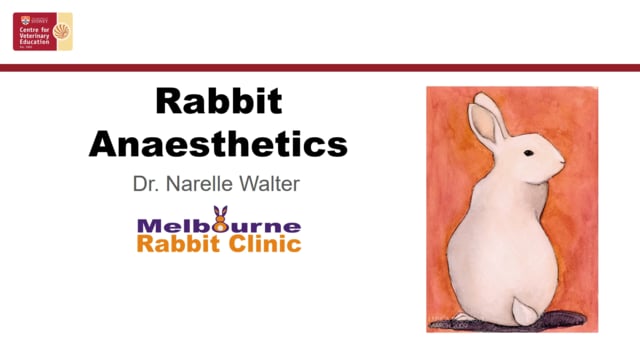 Rabbit Anaesthetics