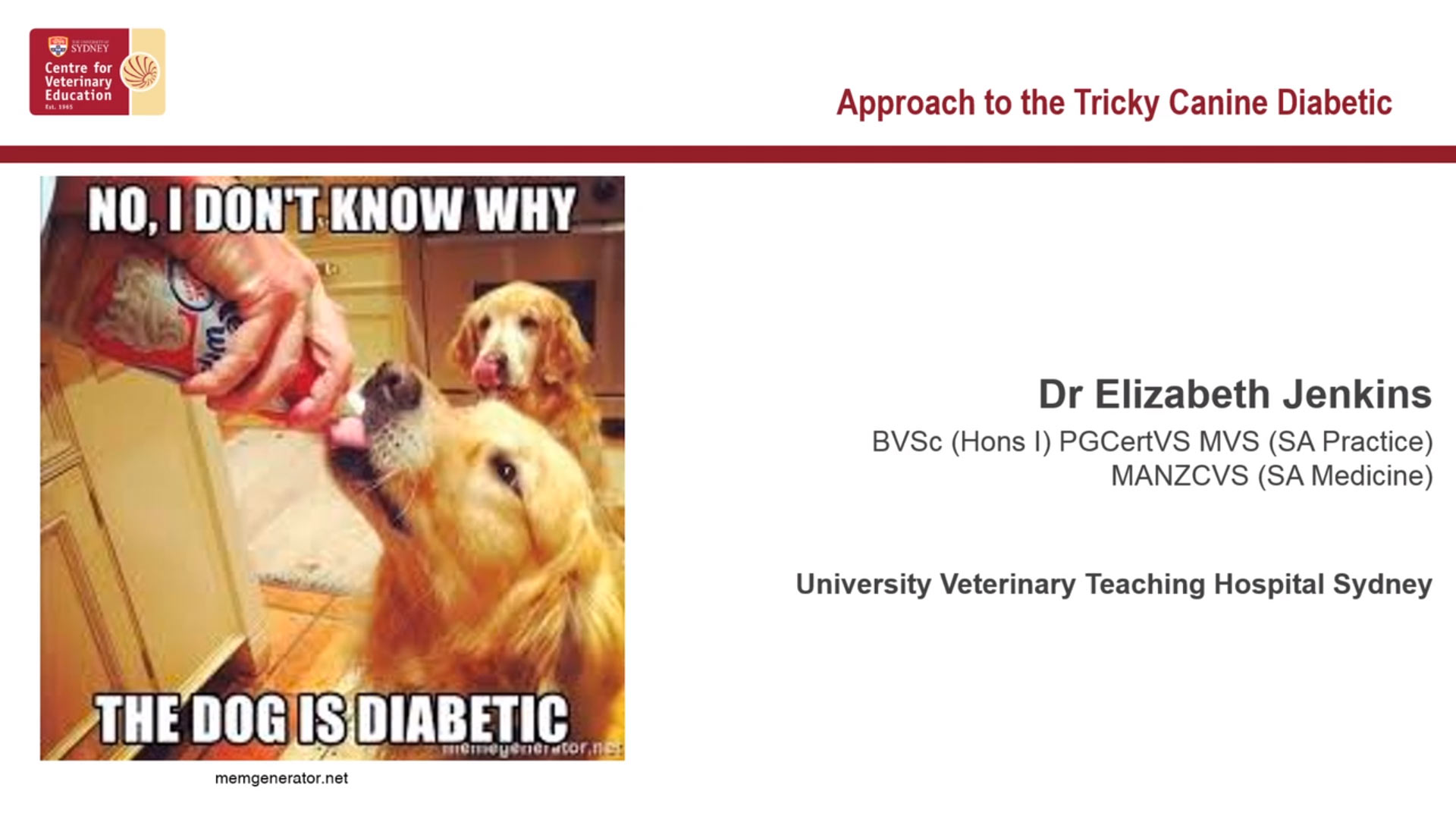 Approach to the tricky canine diabetic