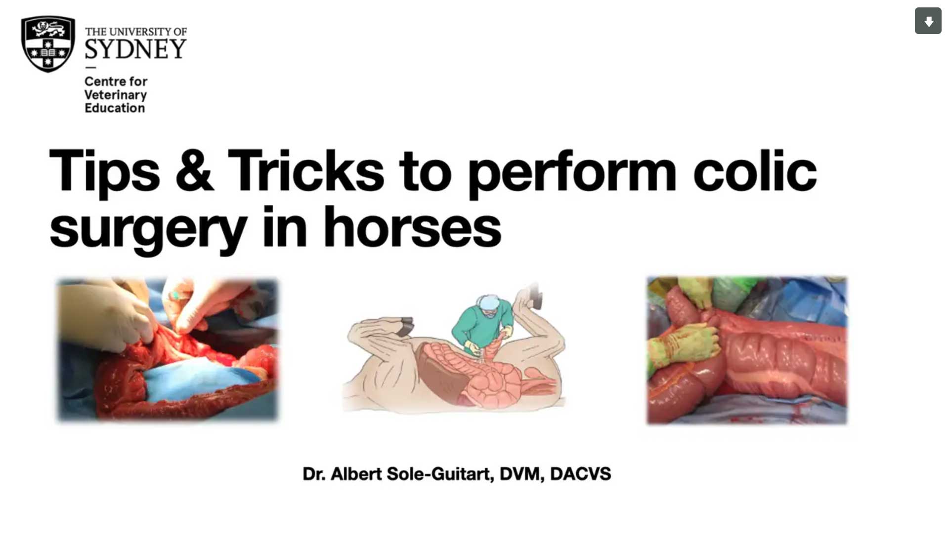 Tips and Tricks for Colic Surgery in Horses