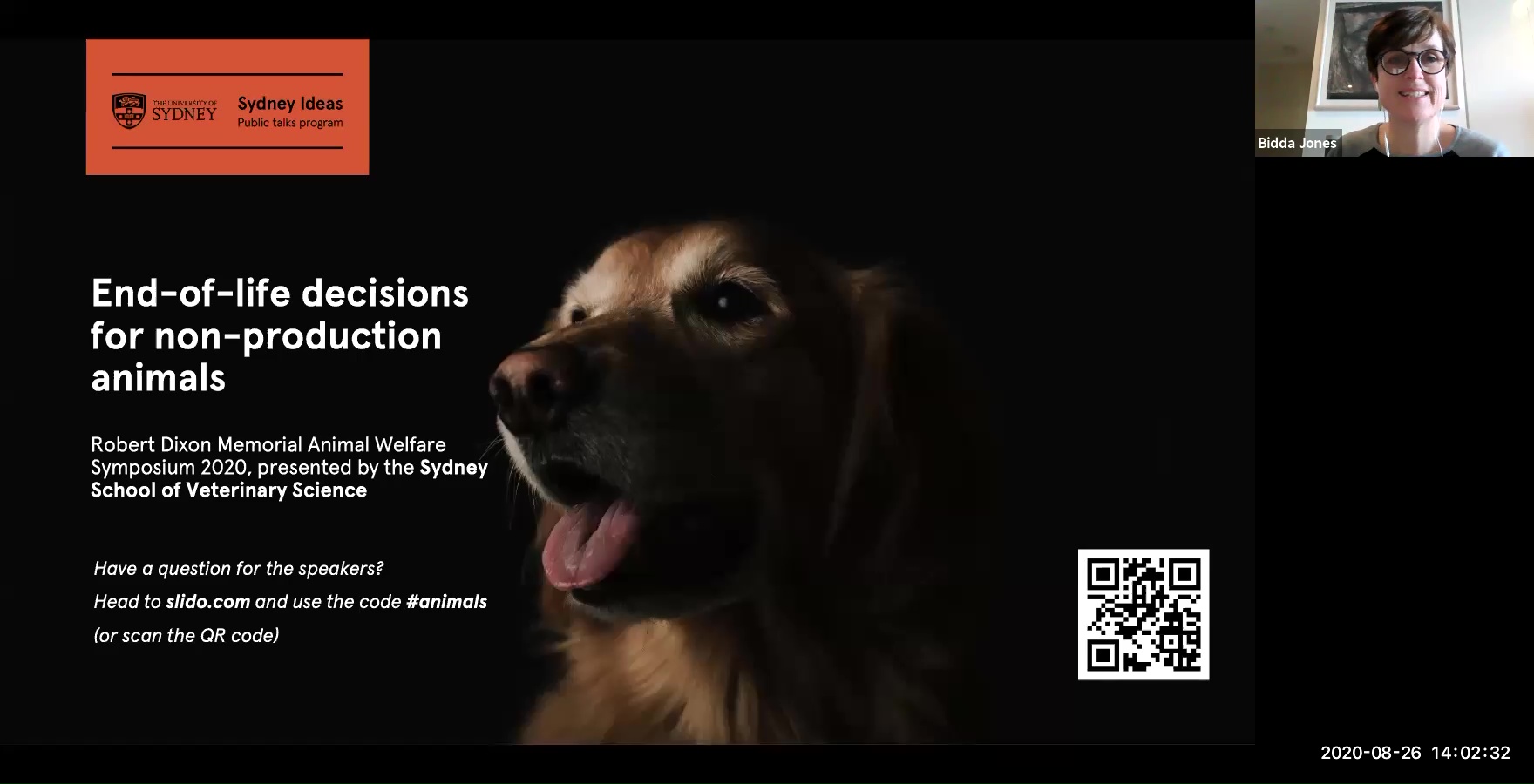 End-of-life decisions in non-production animals