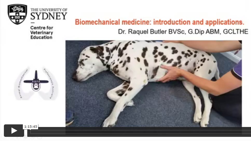Biomechanical Medicine: Introduction and Applications