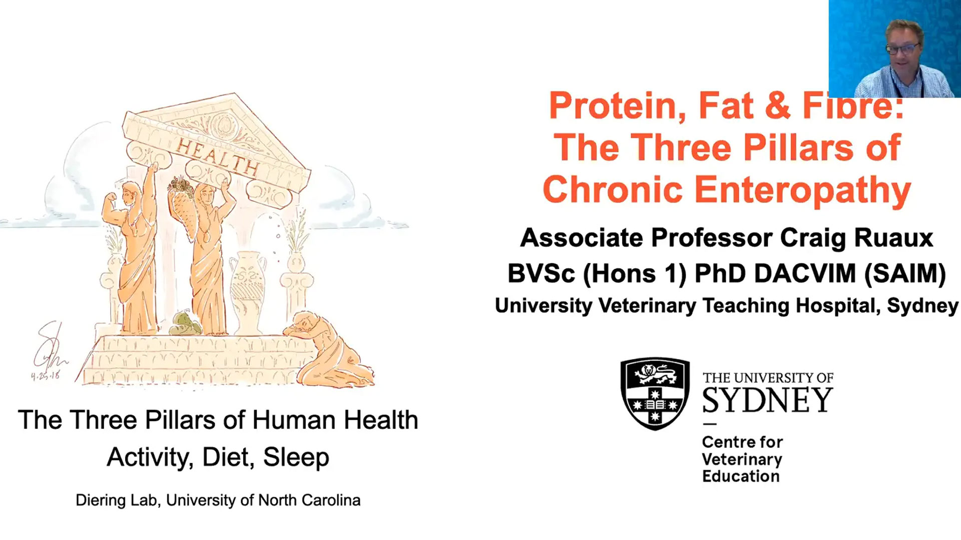 Protein, Fat, Fibre - The Pillars of Chronic Diarrhoea