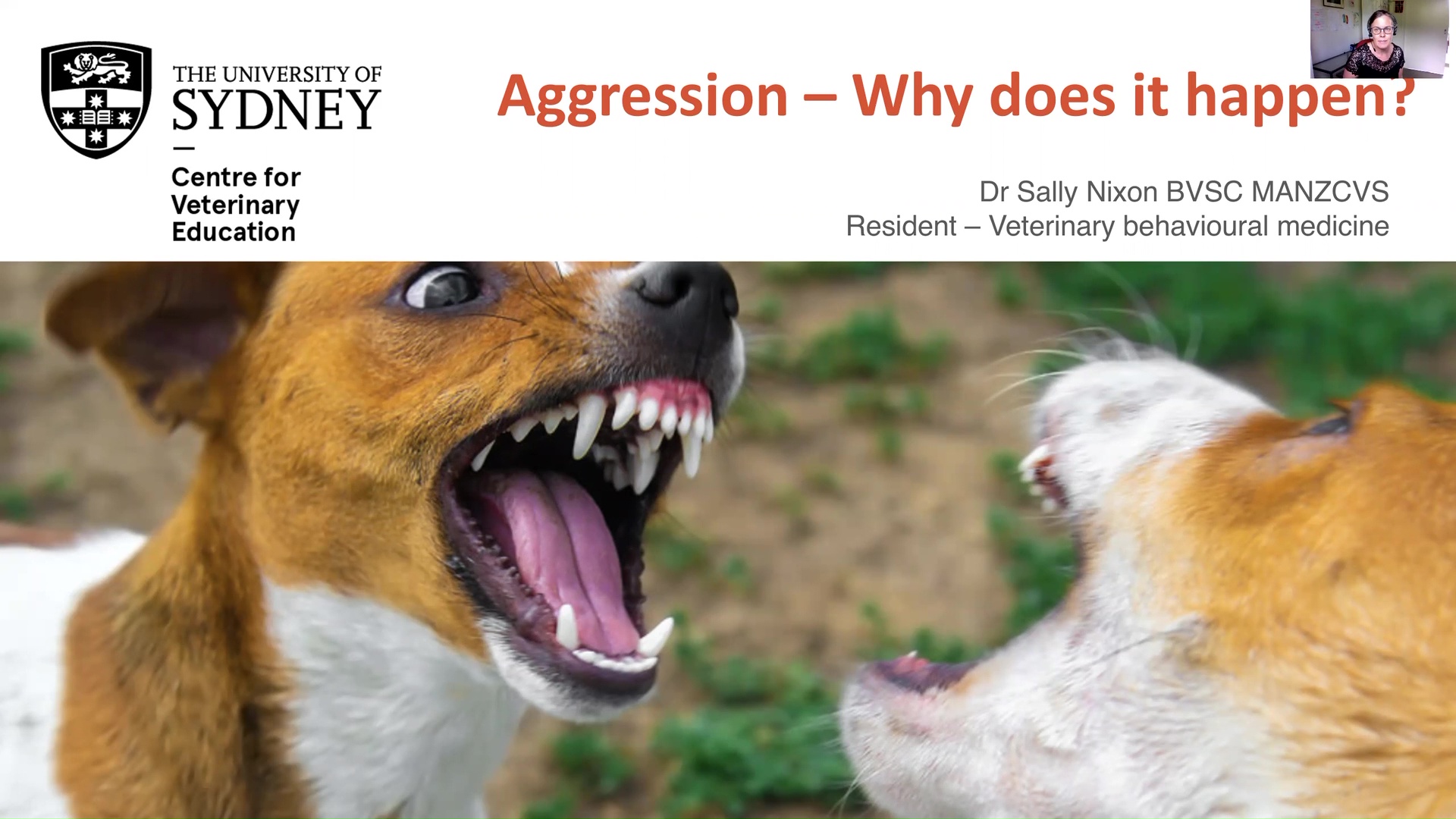 Aggression - Why does it happen?