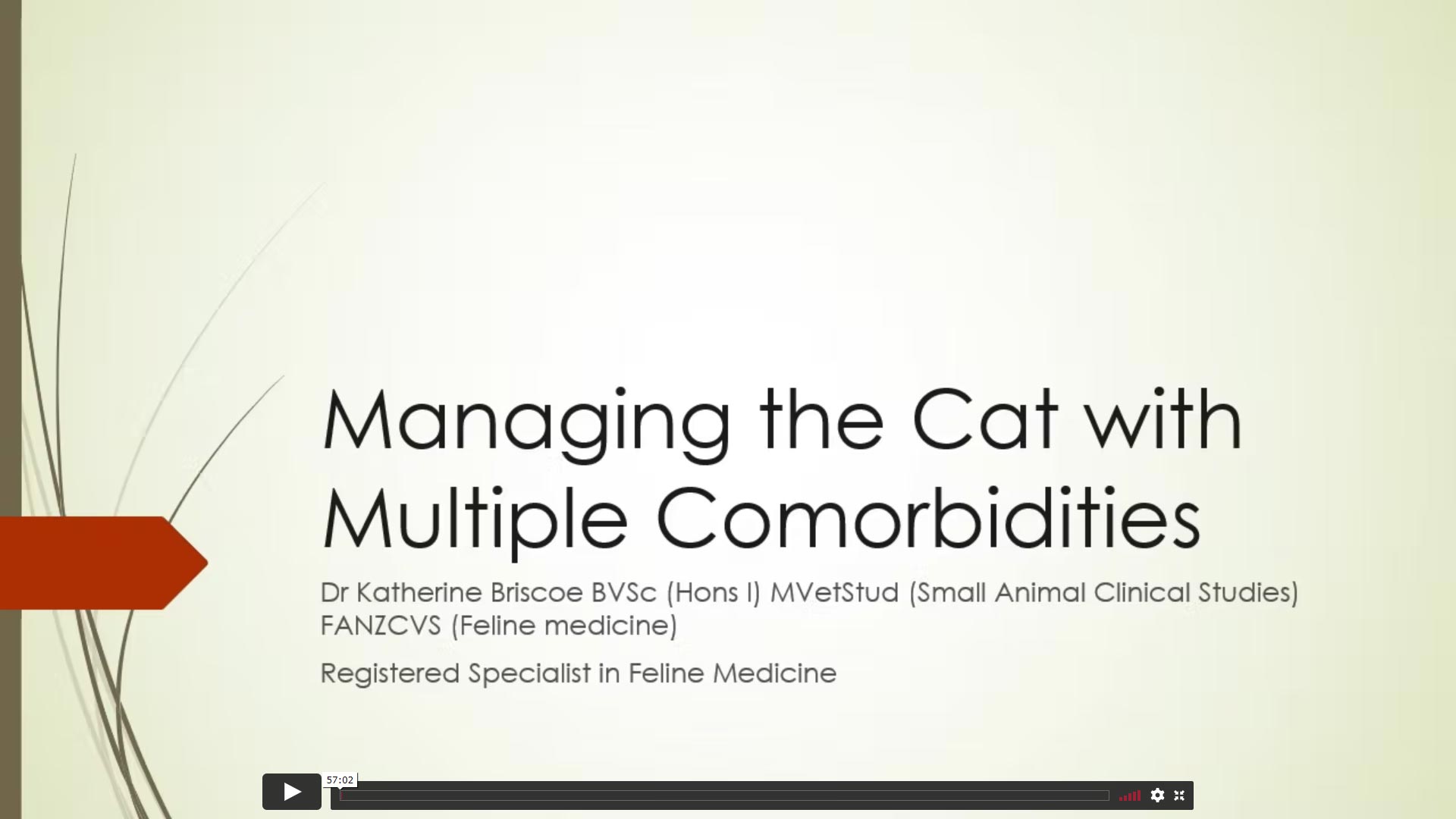 Managing Feline Patients with Multiple Illnesses