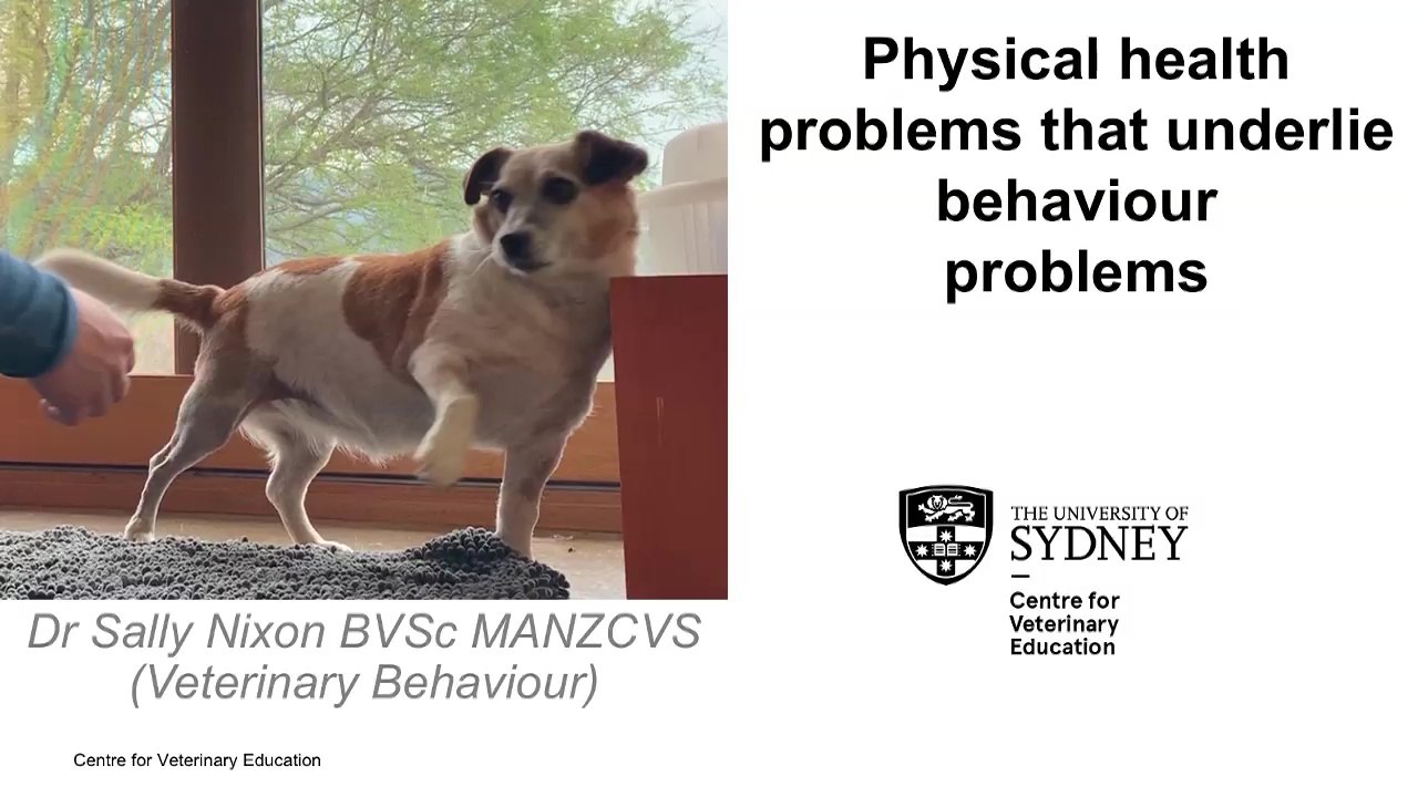 Physical Health Problems That Underlie Behaviour Problems