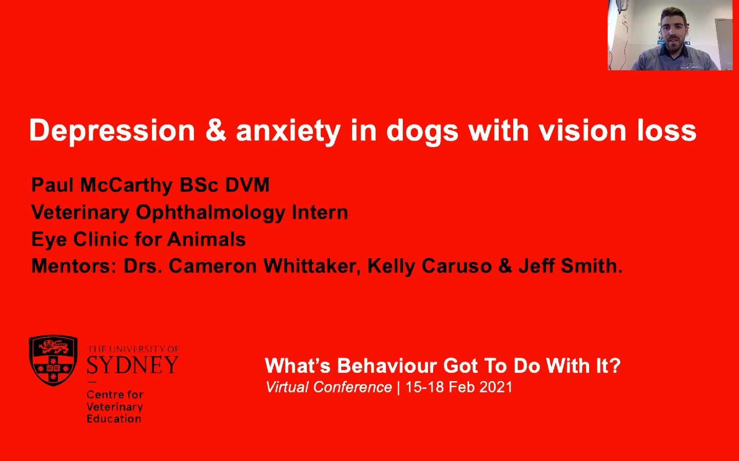 Prevalence Of Depression & Anxiety In Animals With Vision Loss
