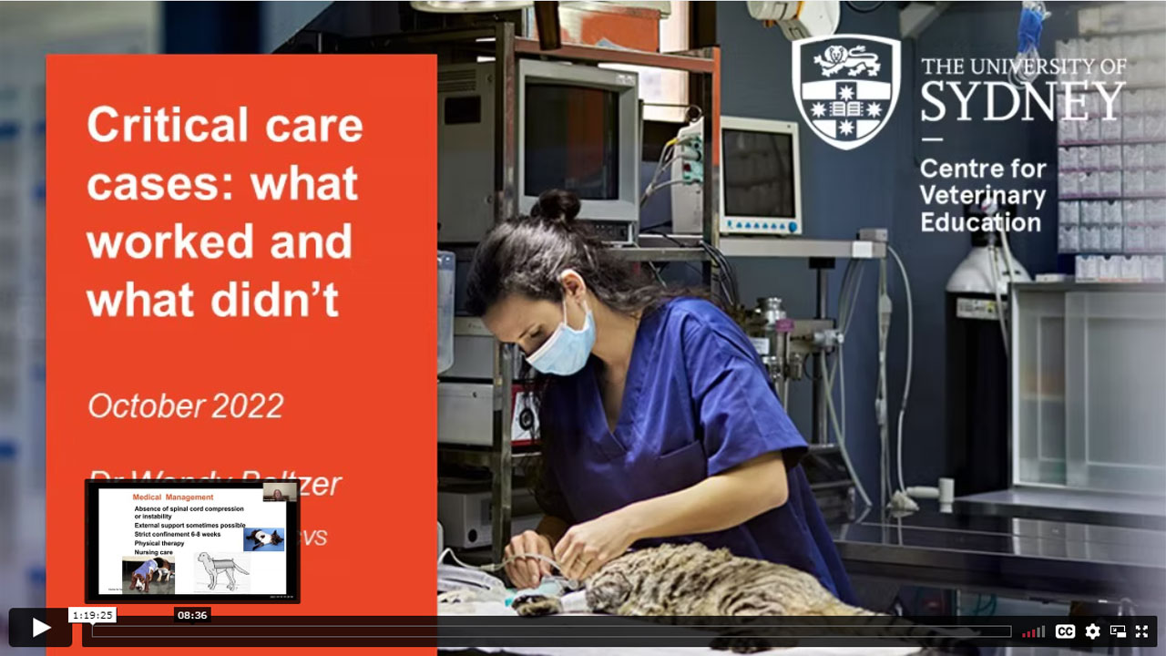 Critical Care Cases: What Worked & What Didn’t WebinarLIVE!