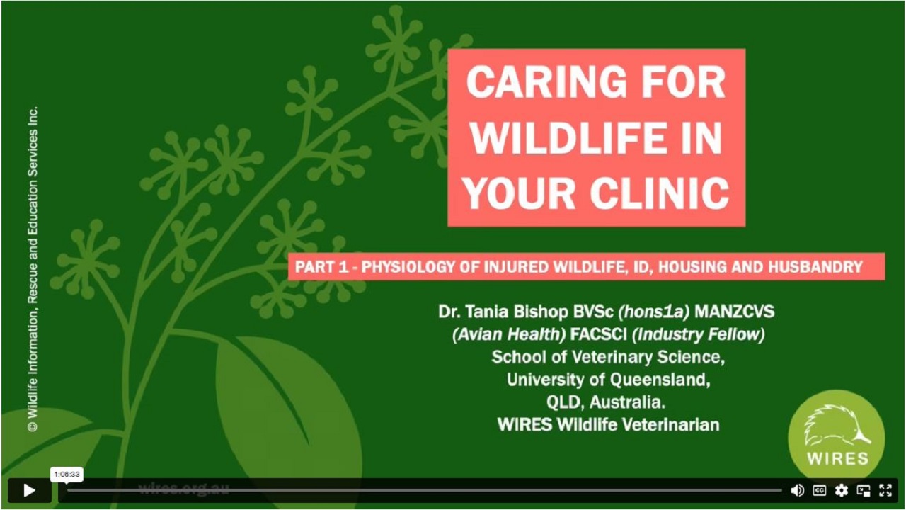 Wildlife Friendly Clinics Fundamentals WebinarPLUS NurseEd