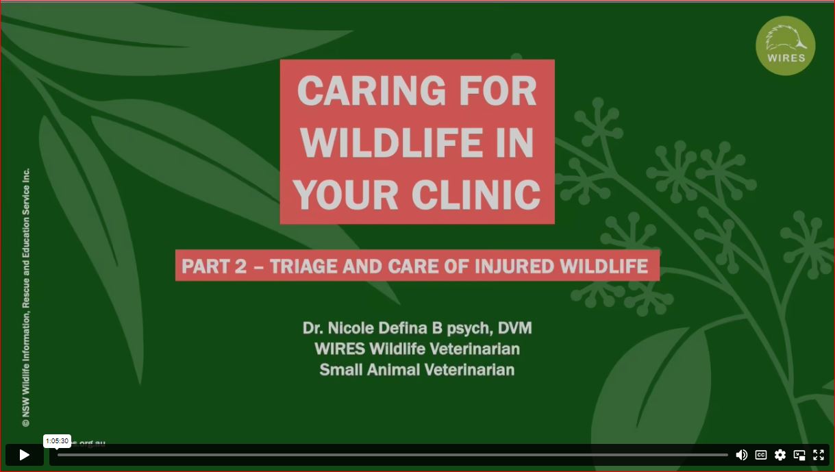 Wildlife Friendly Clinics Triage & Care WebinarPLUS NurseEd