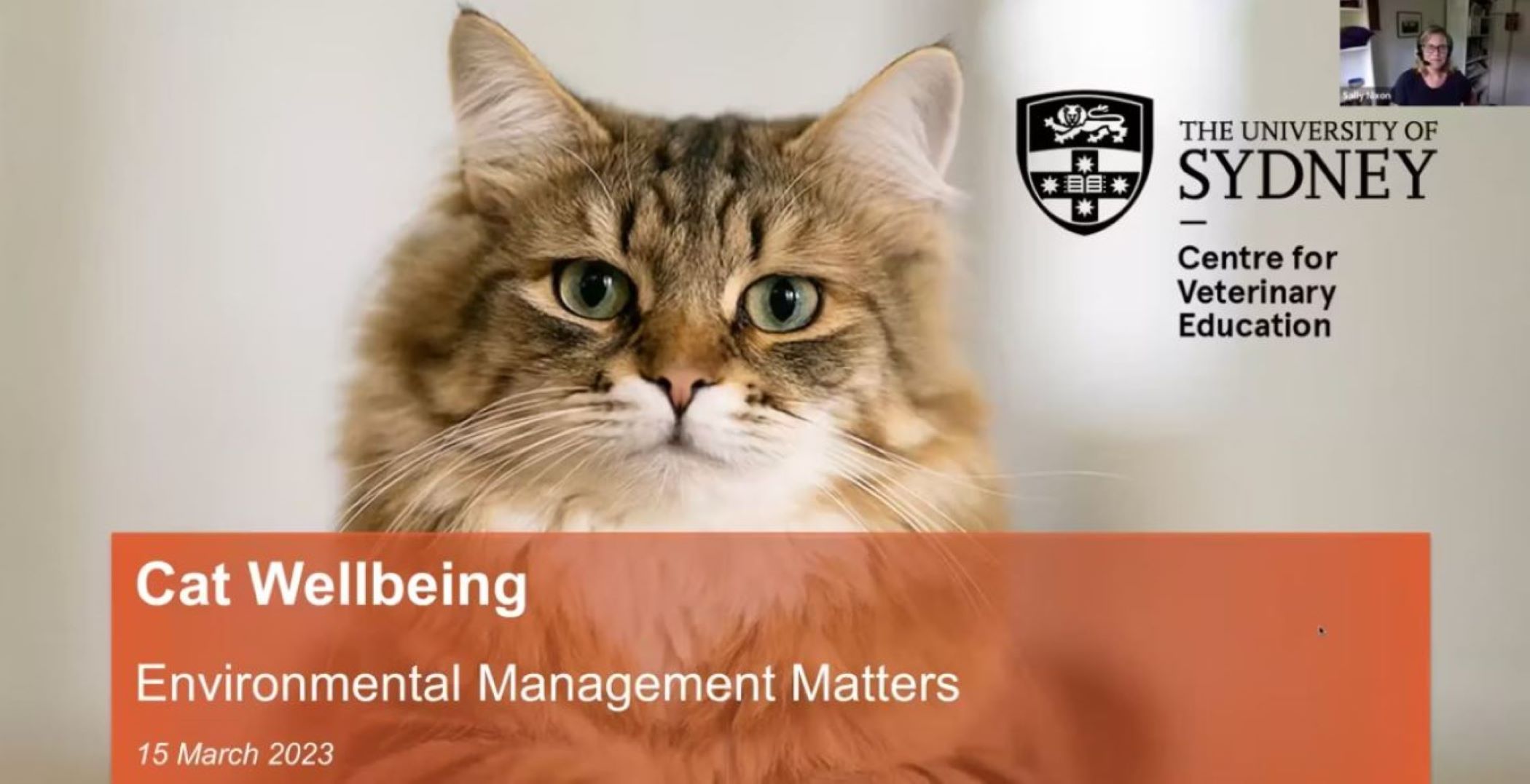 Cat wellbeing: environmental management matters WebinarLIVE!