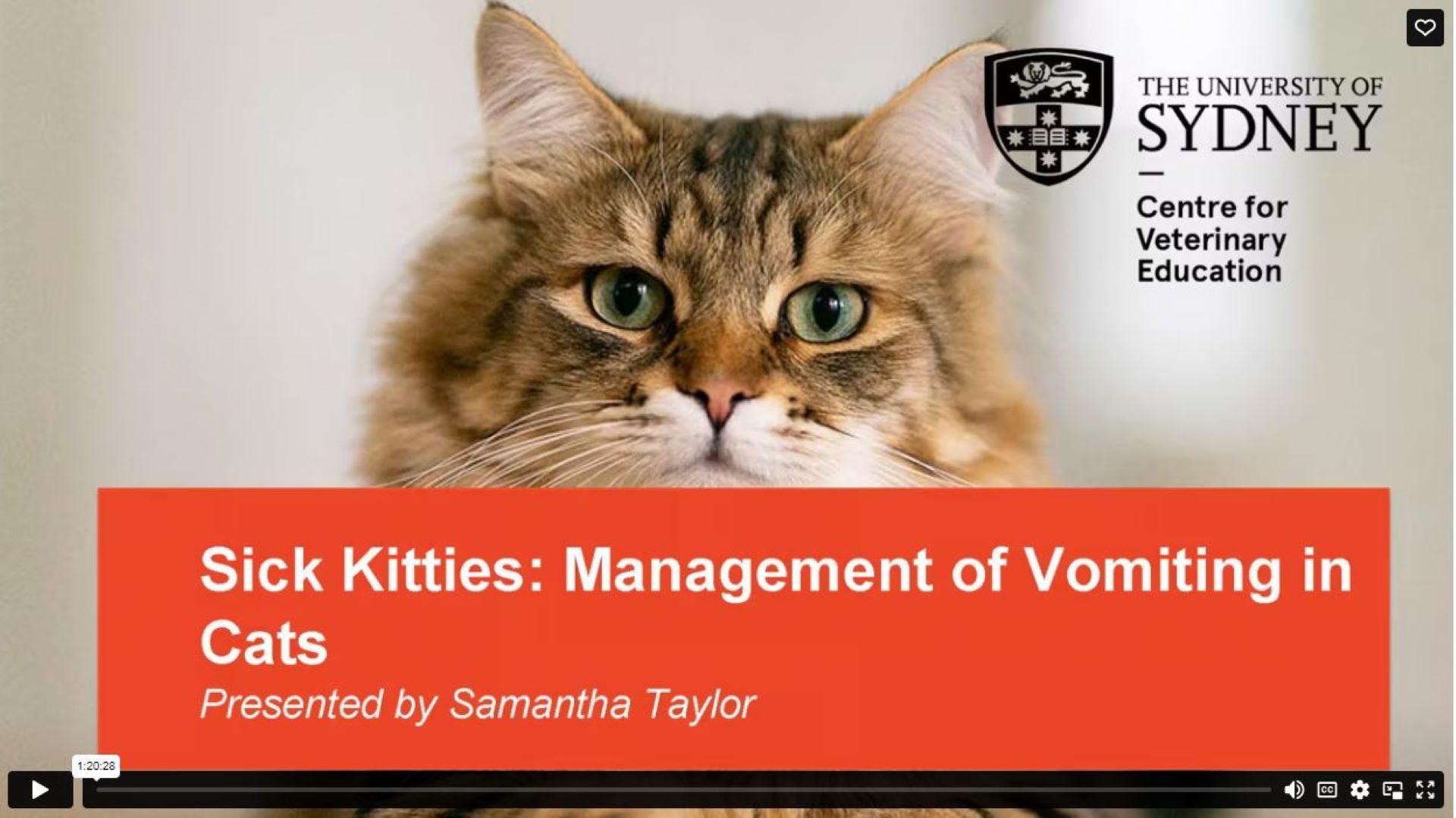 Sick Kitties: Management of Vomiting in Cats WebinarLIVE!