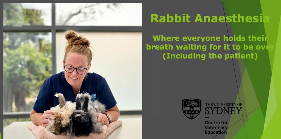 Rabbit Anaesthesia WebinarPLUS NurseEd
