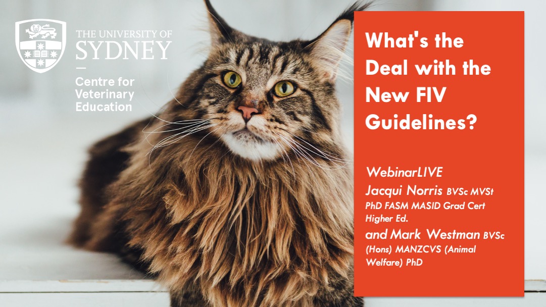 What's the Deal with the New FIV Guidelines? WebinarLIVE!