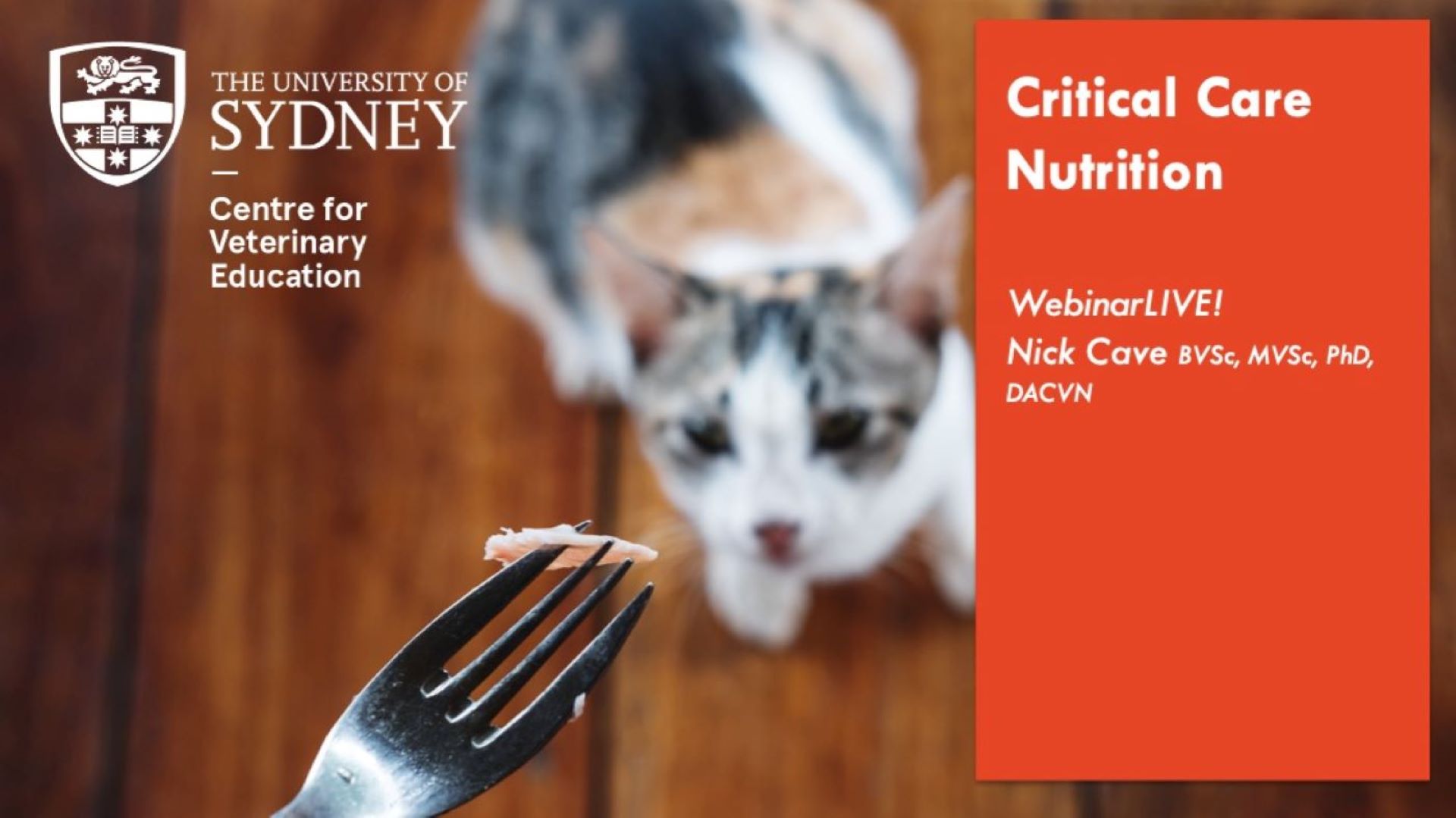 Critical Care Nutrition WebinarLIVE!