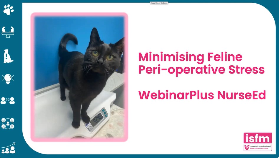 Minimising Feline Perioperative Stress WebinarPLUS NurseEdEdit