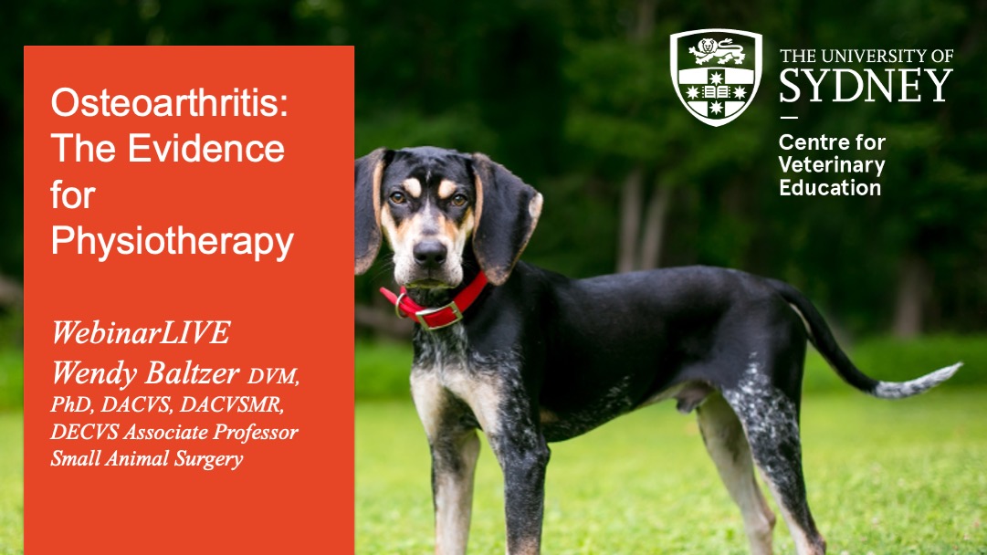 Osteoarthritis: The Evidence for Physiotherapy WebinarLIVE!