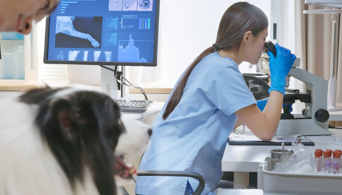 Clinical Pathology Distance Education