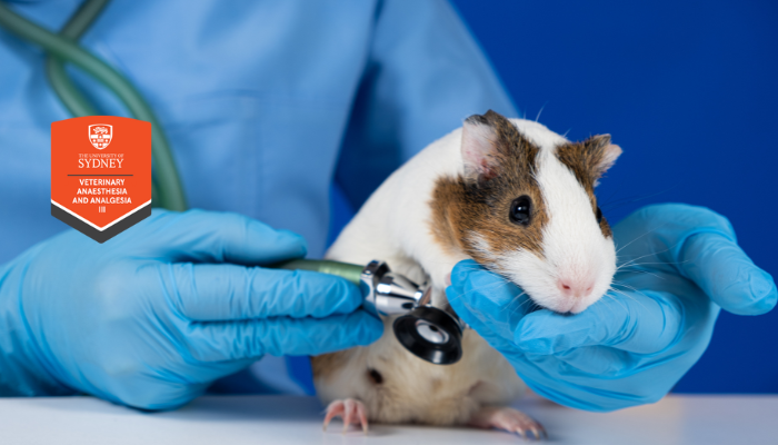 Anaesthesia & Analgesia: Unusual Pets Distance Education