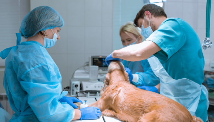 Emergency Medicine Distance Education