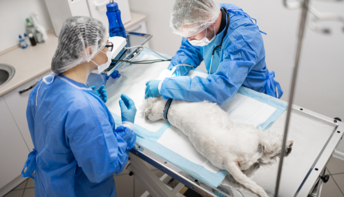 Trauma Patient Management TimeOnline