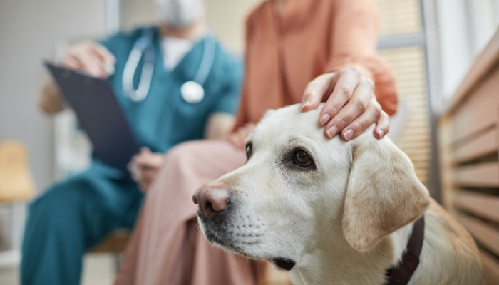 Getting Started with Neurology TimeOnline OnDemand