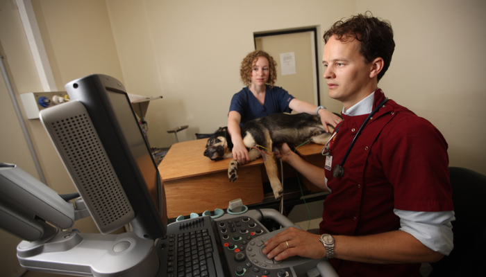 Basic Echocardiography Workshop