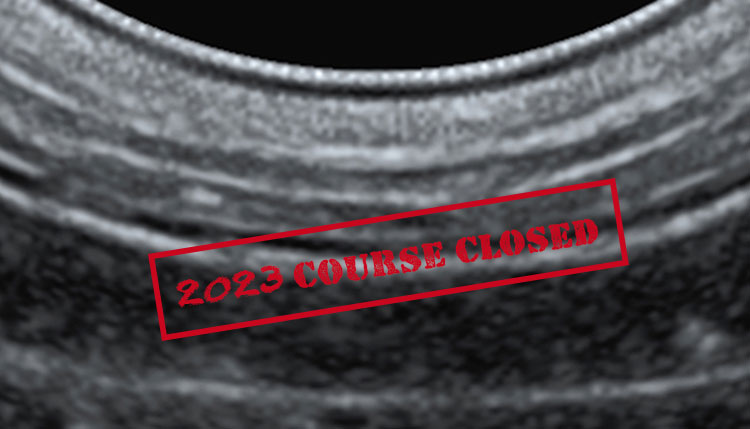 Intensive Ultrasound Short Course 2023